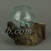 Molten Glass On Teak Driftwood Decorative Bowl/Vase/Terrarium Planter Set of 2   
